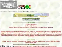 Sites similar to spuelteam.de