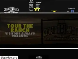 Sites similar to squarebcattle.com