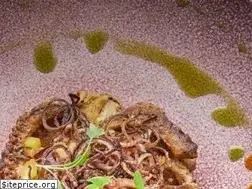Sites similar to squaremeal.co.uk