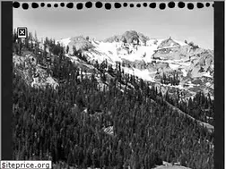 Sites similar to squawvalleywriters.org