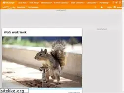 Sites similar to squee.icanhascheezburger.com