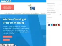 Sites similar to squeegeepro.com