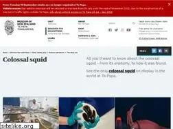 Sites similar to squid.tepapa.govt.nz