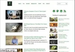Sites similar to squid.us