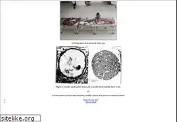 Sites similar to squidaxon.org
