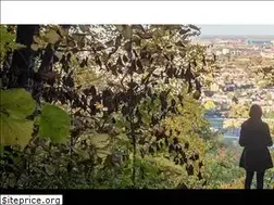 Sites similar to squirrel-news.net