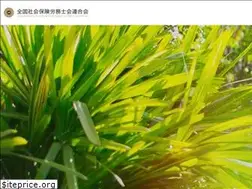 Sites similar to sr-message.jp