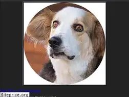 Sites similar to sritch.com