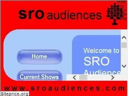 Sites similar to sroaudiences.com