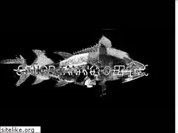 Sites similar to srtanaka.com