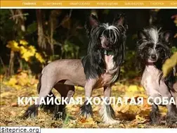 Sites similar to ssba.ru
