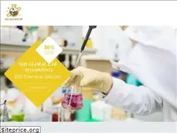 Sites similar to ssdglobalab.com