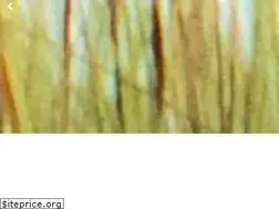 Sites similar to ssibtr.com