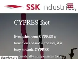 Sites similar to sskinc.com