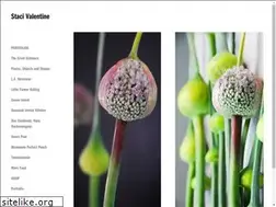 Sites similar to stacivalentine.com