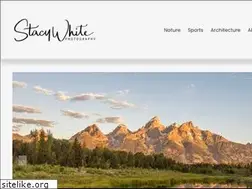 Sites similar to stacywhitephotography.com