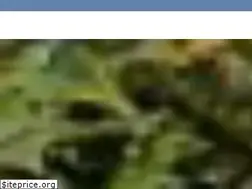 Sites similar to stadenland.nl