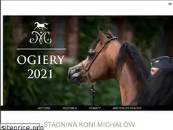 Sites similar to stadninamichalow.pl