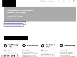 Sites similar to stadtfuehrungen-in-trier.de