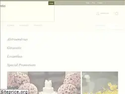 Sites similar to stagemma.com.br
