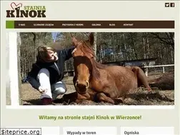 Sites similar to stajniakinok.com