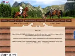 Sites similar to stajniakonsul.pl