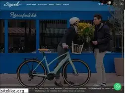Sites similar to stajvelo.com