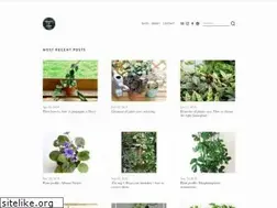 Sites similar to stamenandstemblog.com