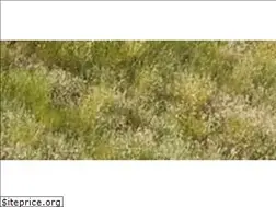 Sites similar to standardrail.com