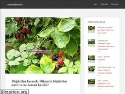 Sites similar to standupforcorn.com