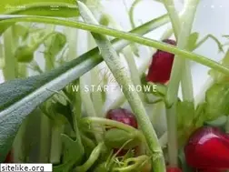 Sites similar to stareinowe.pl