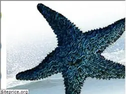 Sites similar to starfishgraphics.biz