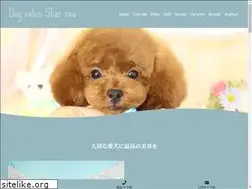 Sites similar to starsea.jp