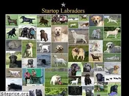 Sites similar to startoplabradors.com