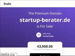 Sites similar to startup-berater.de