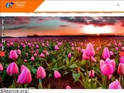 Sites similar to starworldholidays.in
