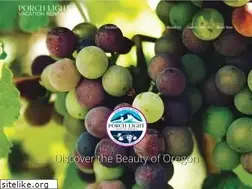 Sites similar to stayporchlight.com