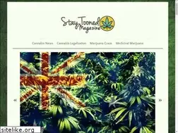 Sites similar to staytoonedmagazine.com