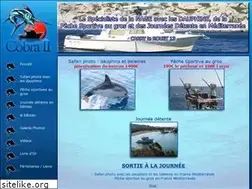 Sites similar to ste-cobra2.com