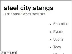 Sites similar to steelcitystangs.com