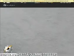 Sites similar to steelersry.fi