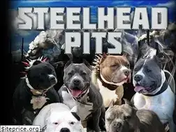 Sites similar to steelheadpits.net