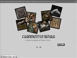 Sites similar to stefanoronchi.com