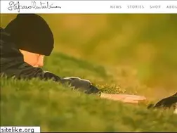 Sites similar to stefanounterthiner.com