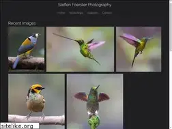Sites similar to steffenfoerster.com