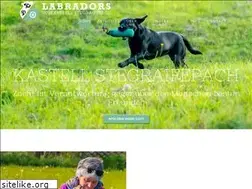 Sites similar to stegraifepach.com