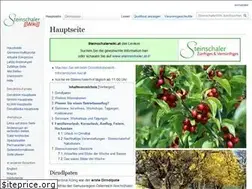 Sites similar to steinschalerwiki.at