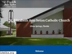 Sites similar to stelizabethcs.org