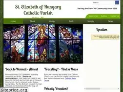 Sites similar to stelizabethdallas.org