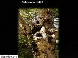 Sites similar to steloj.de